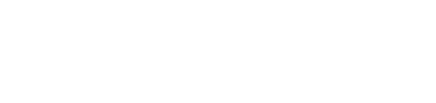 Kaleo AI